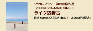 ソウル・フラワー初の映像作品!（2008/DVD+MAXI SINGLE）ライヴ辺野古