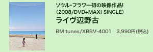 ソウル・フラワー初の映像作品!（2008/DVD+MAXI SINGLE）ライヴ辺野古